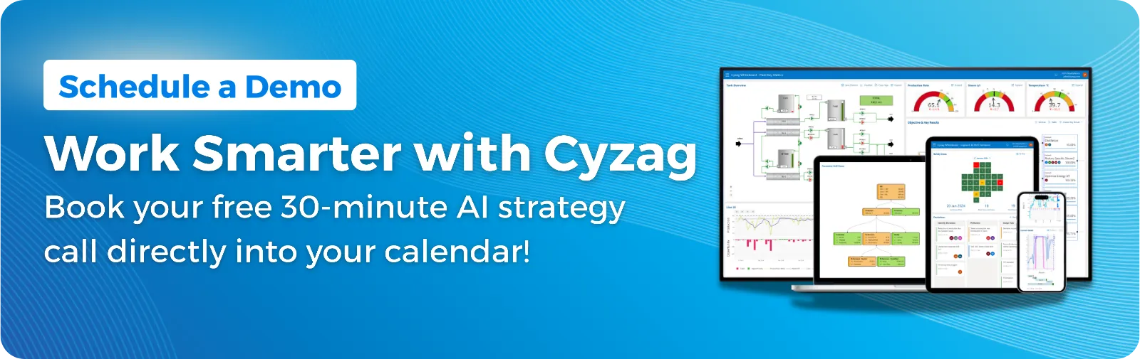 Schedule demo button