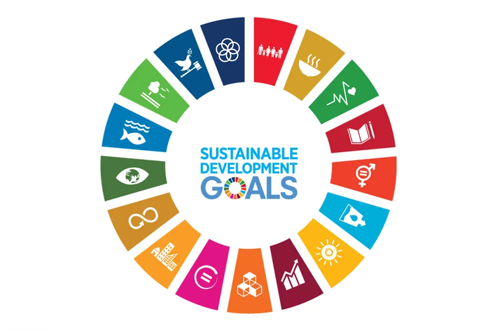 The Sustainable Development Goals (SDGs): The EU introduced "extended producer responsibility" as part of the Sustainable Development Goals (SDGs), urging manufacturers to prioritise reuse, recycling, and material recovery over landfill disposal while also enhancing the Waste Framework Directive.